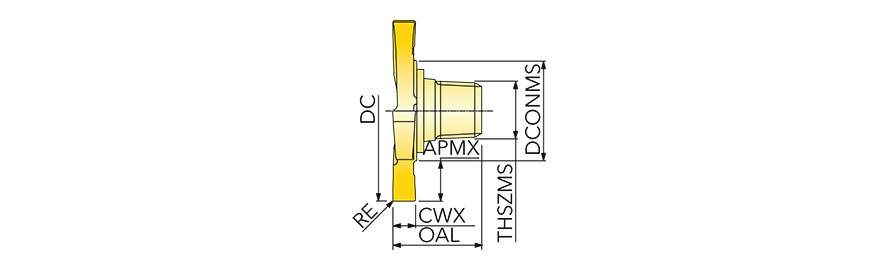 17T21712T8RK00 IN2005